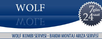 Kordonboyu Wolf Kombi Servisi 0216 309 4025