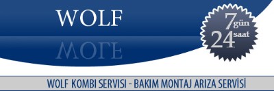 Kartal Wolf Kombi Servisi 0216 309 4025